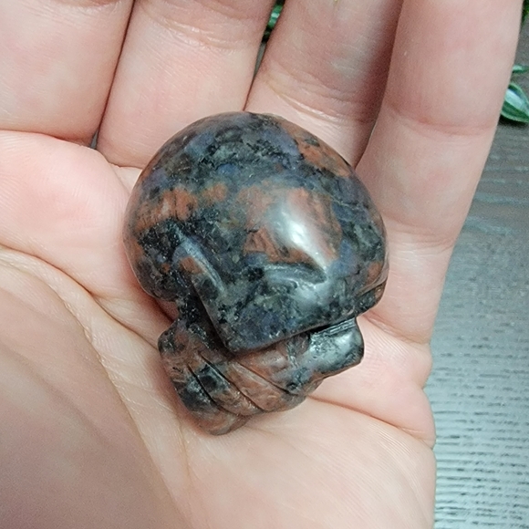 Skull - Picture 5 of 6